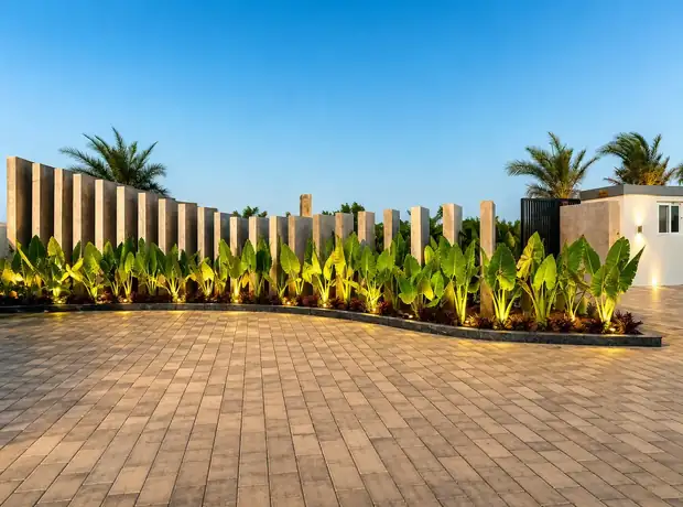 Arrival landscape along the boundary wall